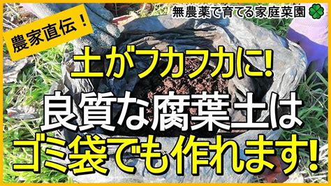 腐葉土|腐葉土とは｜作り方と使い方は？効果とデメリットを解説！｜ 